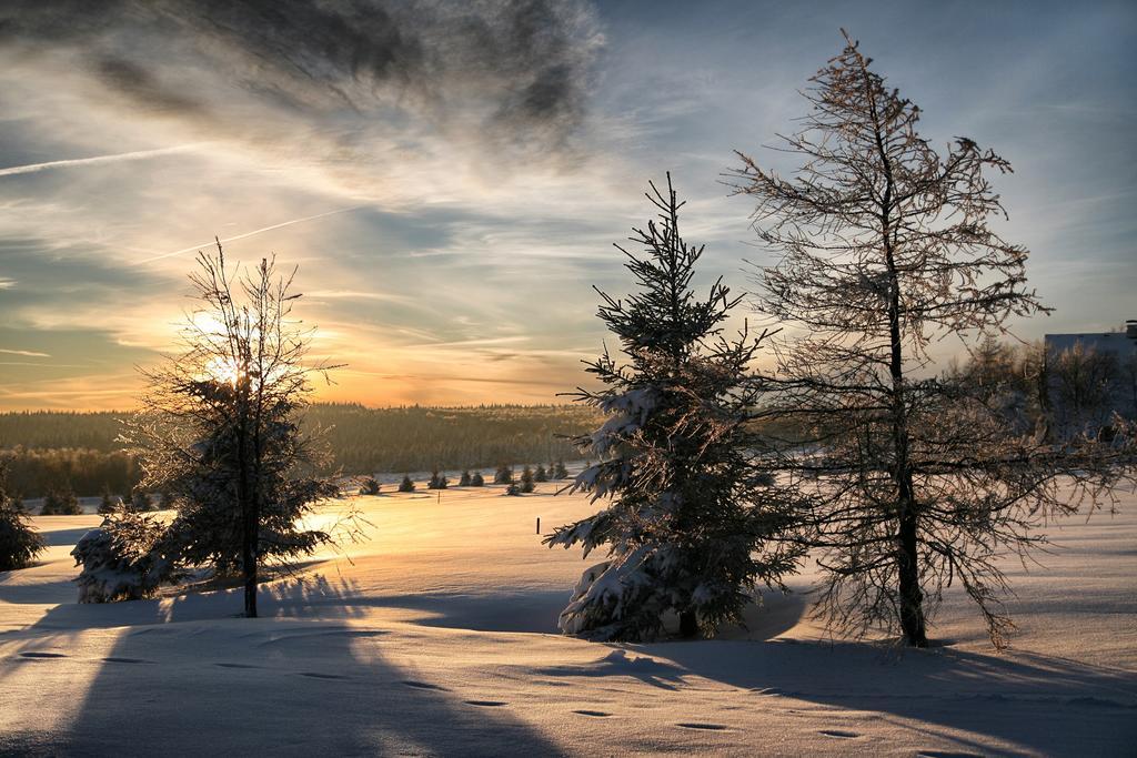 Hotel Krusnohorsky Dvur Cinovec Bagian luar foto