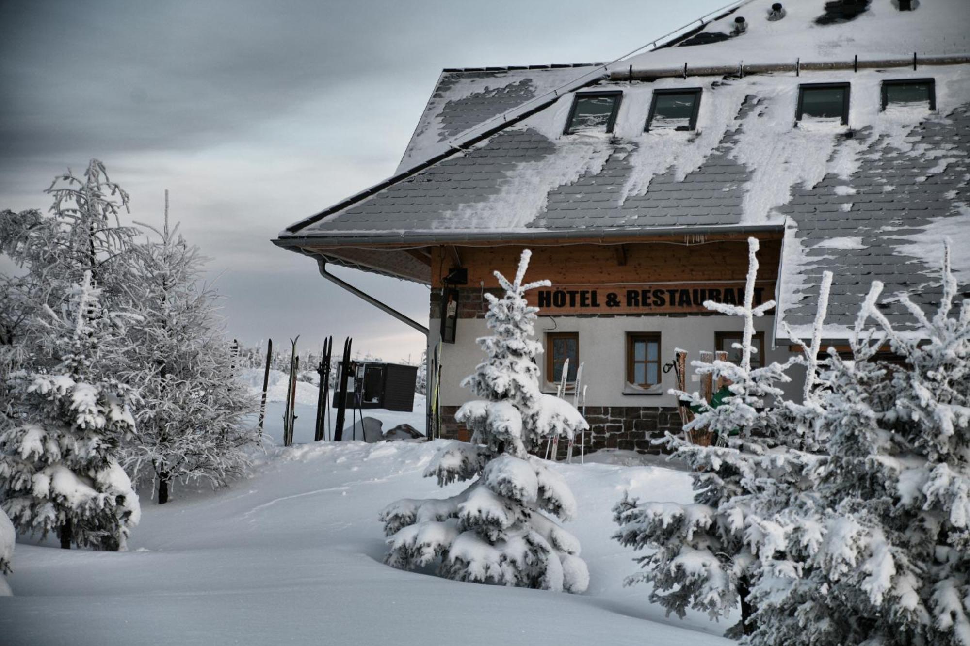 Hotel Krusnohorsky Dvur Cinovec Bagian luar foto