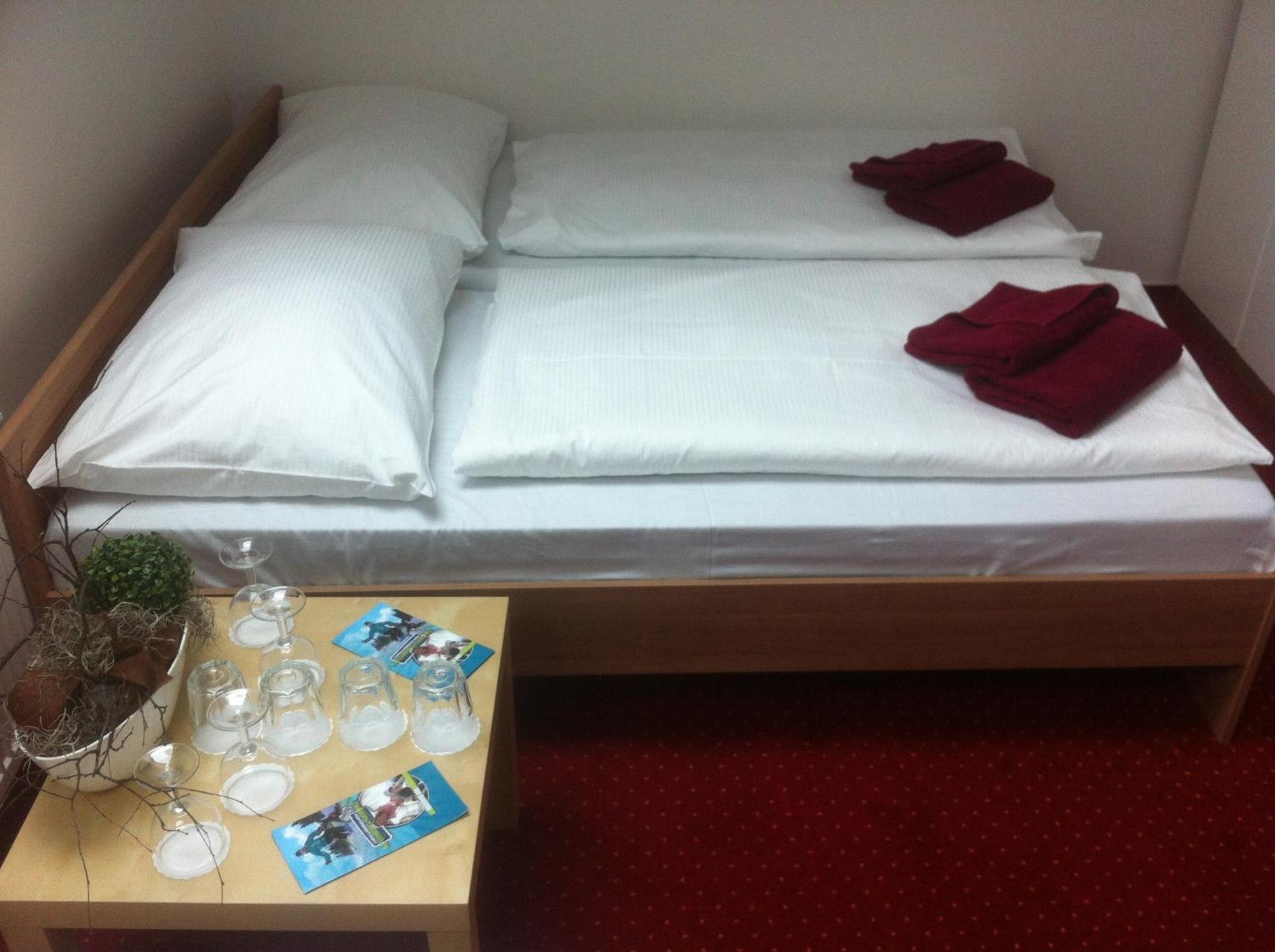 Hotel Krusnohorsky Dvur Cinovec Bagian luar foto